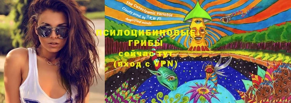 винт Гусь-Хрустальный