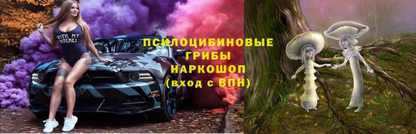 ешки Дмитров