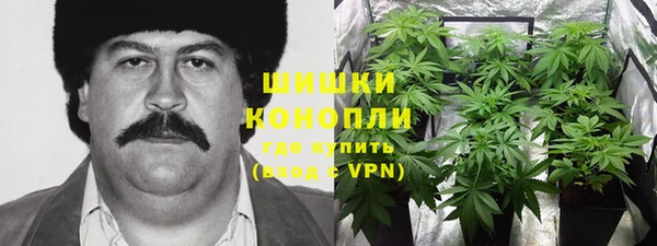 винт Гусь-Хрустальный