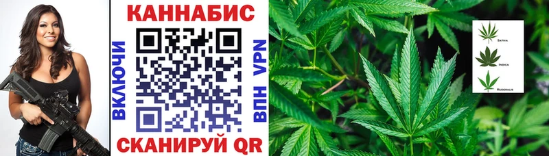 hydra tor  Менделеевск  Бошки марихуана ГИДРОПОН  купить наркотик 